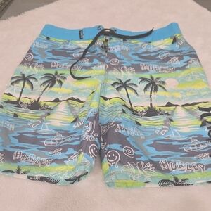 Hurley Men's Scenic Swim Shorts - Blue and Green